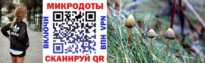 Псилоцибиновые грибы Cubensis  Боготол 